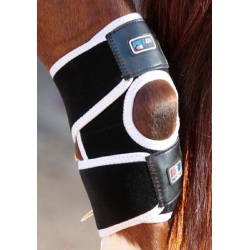 Premier Equine Magnetic Horse Hock Boots - Pair